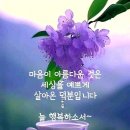 좋은아침 행복 누리시는 멋진날 되세요 이미지