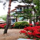 미림펜션 이미지