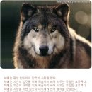 멋찌다