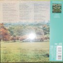 소리-Bright 이미지