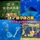 주화농장 | 대구 신세계 아쿠아리움 할인 인어공주 공연시간 실내 동물원 동대구역 놀거리 데이트