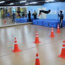 창공 체대입시 이미지