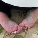 하얀렌트카(주) 이미지