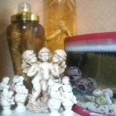 이준열대어 이미지