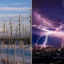 조광농장 이미지