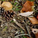 평안한약국 이미지