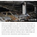 RE:인천 전기차화재사고ㅡ보상 막막 이미지