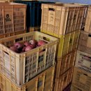 충주청과 이미지