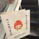 대덕대로-12 | 대전 갤러리아 타임월드 팝업 12월 여수딸기모찌 내돈내산 방문 후기