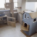 우산쓴고양이 이미지