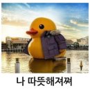 헤라뷰티아카데미