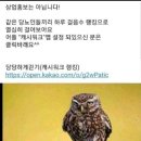 (12회) 이미지