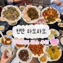 하오하오짬뽕 | 천안 불당 하오하오 / 디너 A코스 후기, 가정의 달 가족모임 장소 추천