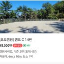 C14 | 고성 대충캠핑장 : 마운틴뷰 오토캠핑장 C14 이용후기