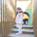 솔터힐링 숲체험원 공중화장실 | 수원 아이와 숲놀이터 광교 중앙공원 유아숲체험원