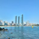 바다햇살마루 | 동백섬 산책코스 추천 🌲누리마루 APEC하우스부터 해운대 모래축제까지 여유롭게 걸었던 부산 여행 후기