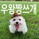 개란빵 | 스타벅스 DT점 파트너 두달차 근무 후기ㅣ복지 등 꿀팁ㅣ바쁘다바빠현대사회