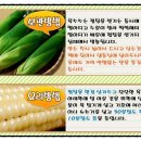 물소리펜션민박 이미지