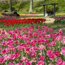 용비쉼터 이미지