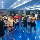 울진제일약국 이미지