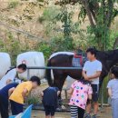 그린승마랜드 이미지