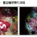 선도리어촌체험휴양마을 연합뉴스