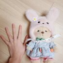 [애착인형] 테디테일즈 레나베어 밀크티 단모 스몰(small) + 당근토끼옷, 와디즈 펀딩 후기