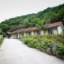 자작나무펜션 캠핑장 이미지