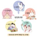 덕성장 이미지
