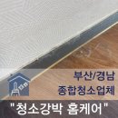 자성로 | 부산동구 부산항일동미라주 입주청소, 고양이털까지 꼼꼼하게 정리한 이사청소 후기