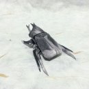 종이접기A 이미지