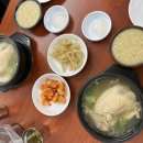원조황칠나무녹두닭백숙