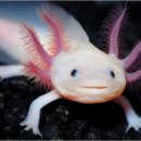 현대경복유치원 이미지