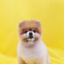 개린이미용실 이미지