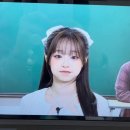 화이트리본 네이버블로그