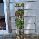 (주)성우식품 이미지