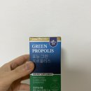 환절기 활력 위한 항산화 영양제 추천! 포뉴 그린 프로폴리스 카제로템 IMG프로폴리스 후기