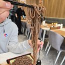세종아름동맛집 정성카츠 세종점 한입 먹고 바로 재방문 예약한 곳