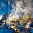 푸르른삶의노래 이미지