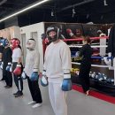 위너 복싱 GYM 이미지