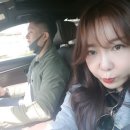 진도모터스 이미지