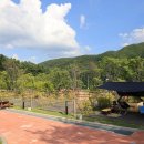 홍천강 오토캠핑장 이미지