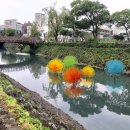 제주인(제주in) 이미지