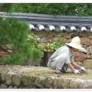 용방초교 이미지