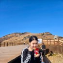 억새풀농장 | 11월중순 간월재 억새 상태 복장 주차 사슴농장코스 소요시간 간월재휴게소