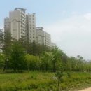 분당-257 이미지