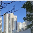 과천공인중개사사무소 이미지