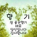 너이버 이미지