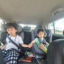 용준목장 | [경남 남해]아이와 가 볼만한 바다가 한눈에 보이는 남해 양떼목장 &lt;양모리학교&gt;