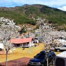 캠프안단테 이미지